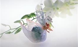 别人的感情顾问，自己感情却常常故障的四大星座