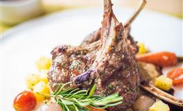 小乖麻2022年水瓶座运势