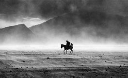 苏珊米勒每日运势2022年2月24日