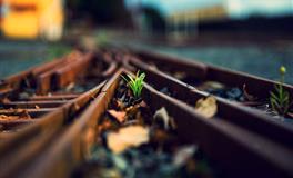 苏珊米勒2022年2月双子座运势完整版