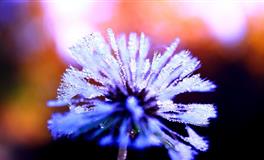 Alex天秤座一周运势（2.14-2.20）