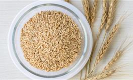 娜迪亚天秤座本周运势（3.14-3.20）