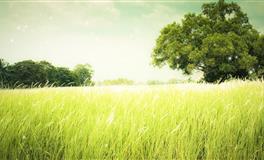 羲邑师姐：生肖猴一周运势(3.14-3.20)