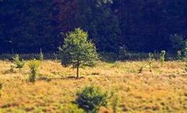 这三大星座最不可靠，吃着碗里看着锅里，备胎多到数不过来