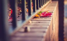 理财理清思绪，收获惊喜日进斗金，成功脱单的3星座