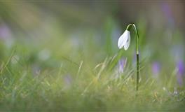 准！缓解12星座冷暴力的正确姿势