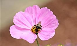 嘴巴嘴甜的三个女人，情商特别高，婆婆最喜欢