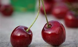 苏珊米勒每日运势2022年3月31日