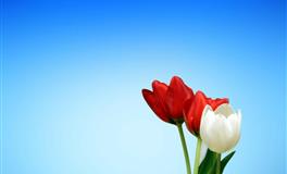 一旦不爱果断放手，分手绝不墨迹，断得干干净净的三星座，最绝情