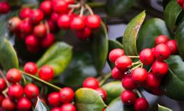 能安慰别人却劝不了自己的星座，善解人意，却走不出自己的囹圄