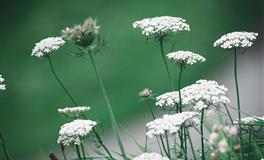 臭脾气，易发怒，相处让人心累的3个星座，火头上难以好好说话