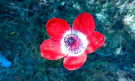 快来围观!12星座上等婚配排行