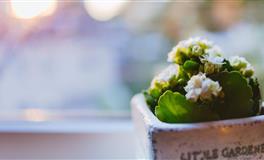 不甘平庸，敢闯敢拼的三大星座，注定会有大作为！