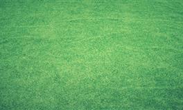 郑博士下周财运大旺的几大属相（3.28-4.3)