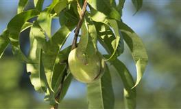 下半年12星座必遭情劫，扎心了！