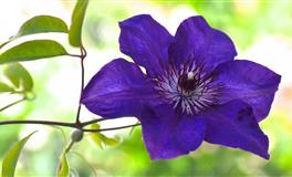 天生自带高贵气质的3大星座，优雅独特惹人爱，天蝎座上榜