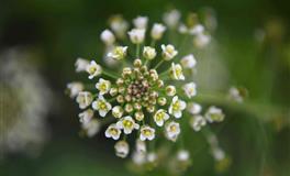 做事拖拖拉拉的星座，不到最后一刻，绝不动身