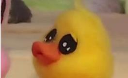 别装了，这几个星座其实没那么快乐