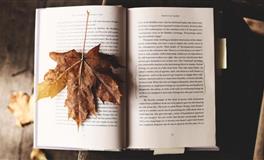 别太黏！这些星座恋爱时需要距离感