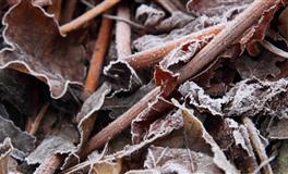 Alex双子座一周运势（4.4-4.10）