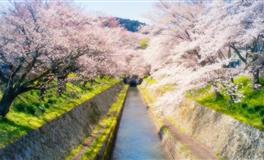 苏珊米勒每日运势2022年4月25日