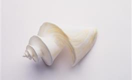 杀破狼天秤座一周运势(4.11-4.17)