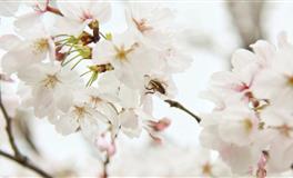 苏珊米勒每日运势2022年4月2日