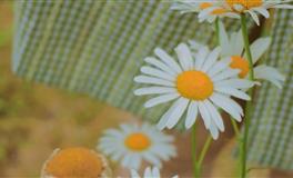 娜迪亚天秤座本周运势（4.25-5.1）