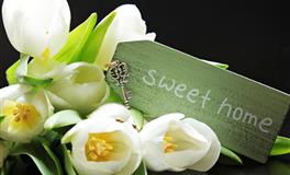 神叨酱心灵疗愈指引2022年4月15日