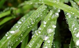 2022年4月桃花超旺的星座TOP6！