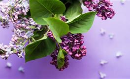 静电鱼处女座一周运势(4.18-4.24)