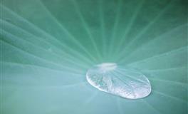 羲邑师姐生肖龙一周运势(4.11-4.17)