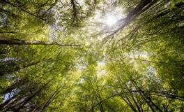 星象爆报：今日金星入双鱼，获得【绝对浪漫】的四大星座