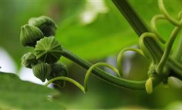 苏珊米勒每日运势2022年4月22日