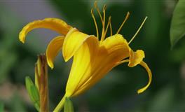 郑博士2022年5月十二生肖财运播报