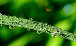 苏珊米勒一周星座运势（4.25-5.1）