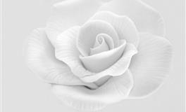 裴恩处女座2022年5月桃花运势