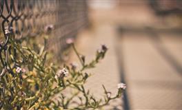 神叨酱心灵疗愈指引2022年4月27日