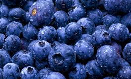 冥王星逆行，对十二星座的影响