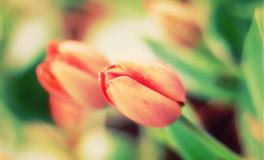 爱翻旧账，陈芝麻烂谷子的事，都喜欢抓着不放的四个星座