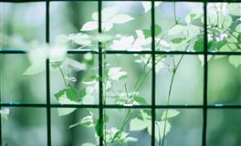 在一起水火不容，争吵不休，注定难走到一起的星座