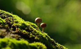 各血型恋人约会失败的原因