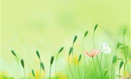 四大血型不可触碰到的爱情底线