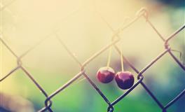 报复心极强，千万不要惹到这些星座