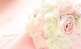 懂得自我调节的情绪，不会过于依赖对方，拿得起放的下的三个生肖