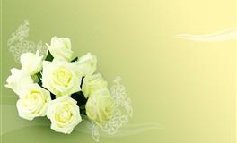 灵气十足，天生万人迷的3星座，气质优雅，让男人毫无招架之力