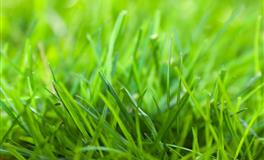 做事认真，奖金加倍锦鲤附身，愿望成真3星座