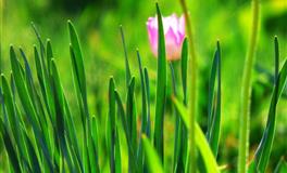 注定会生活越来越好，越来越优秀的三大星座