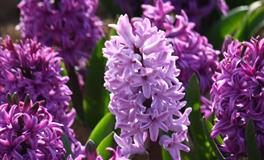 十二星座女生受欢迎排行榜TOP4，你上榜了吗？