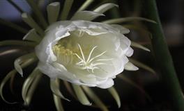 具有双重人格的3星座，一面天使，一面魔鬼，实在太可怕了